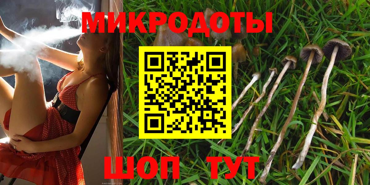 Гуково  Псилоцибиновые грибы Psilocybine cubensis  Галлюциногенные грибы прущие грибы  Вход с VPN 