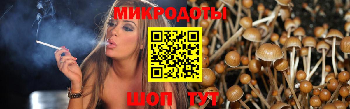Галлюциногенные грибы Psilocybe Гуково